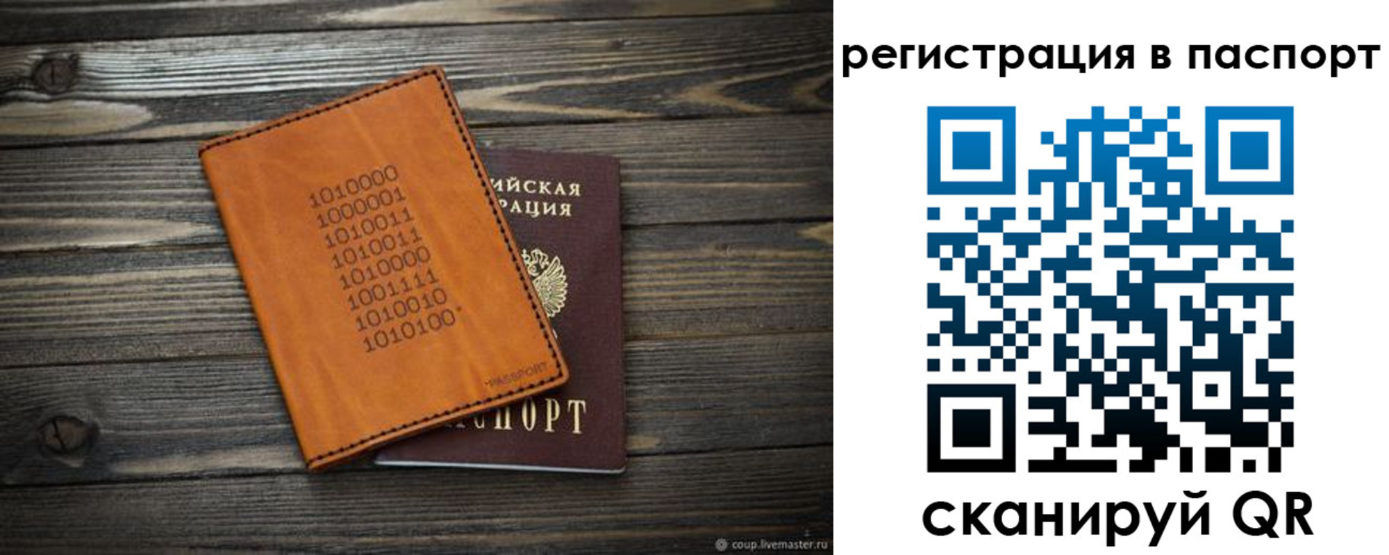 прописка для школы в Сертолово